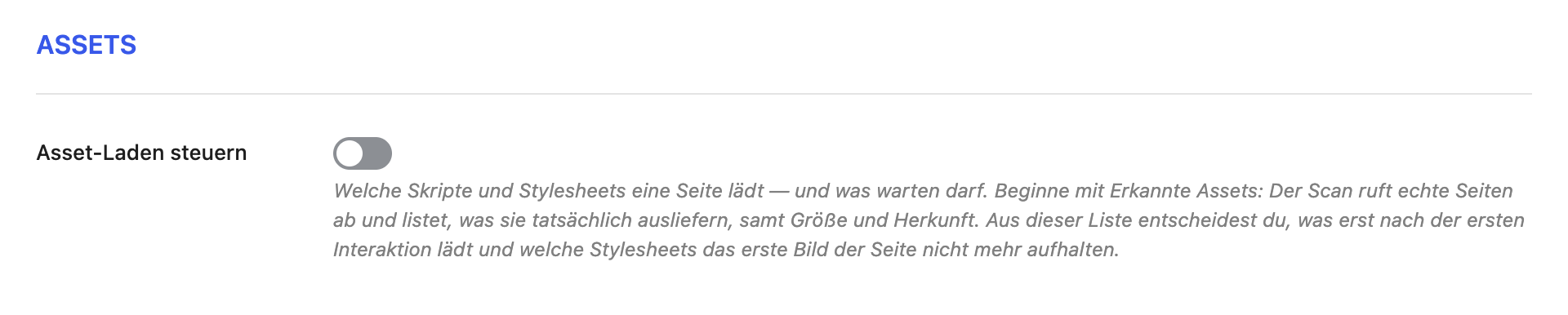 Der Abschnitt Assets im Reiter PageSpeed